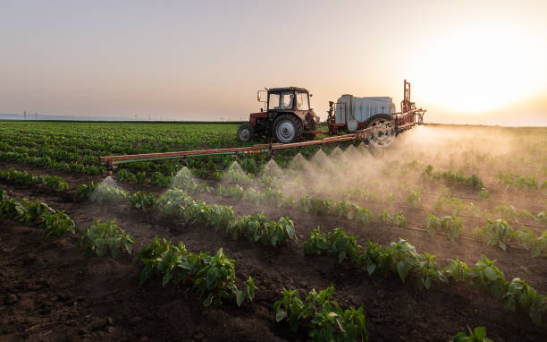 Professional Pest Control in Algona, WA