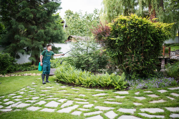 Best Mosquito Control Services  in Algona, WA