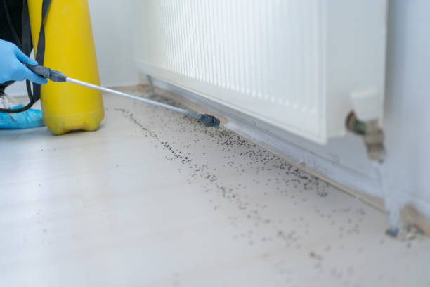Best Pest Control Near Me in Algona, WA